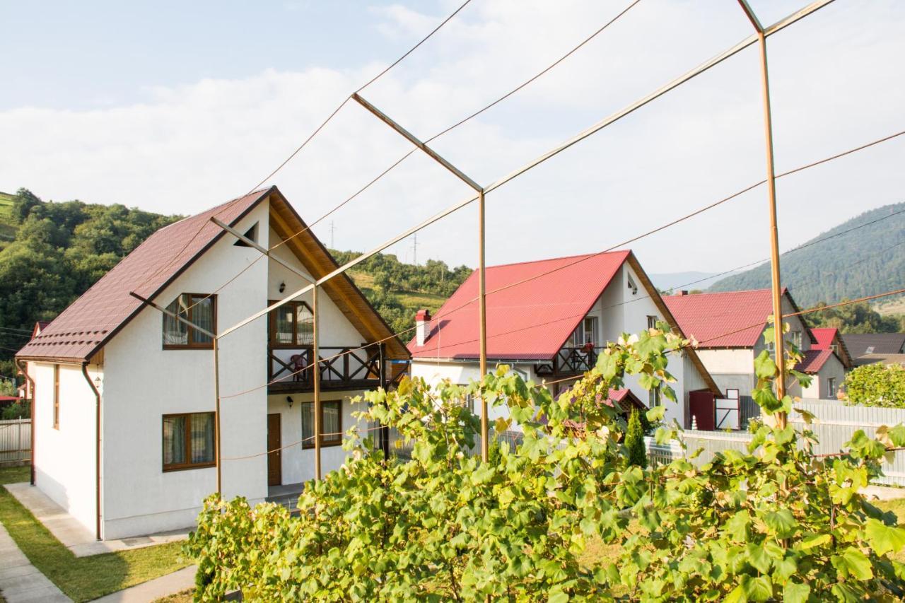 Vila Sunhouse Mizhhirya  Exteriér fotografie