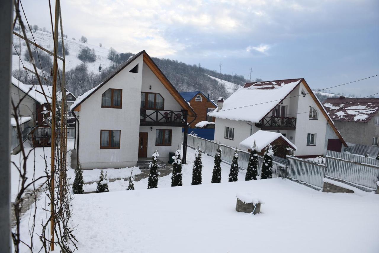 Vila Sunhouse Mizhhirya  Exteriér fotografie